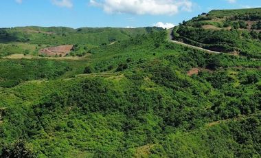 TANAH OCEAN VIEW DI LANCING LOMBOK TENGAH