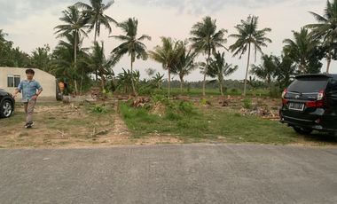 Tanah Murah Yogyakarta dekat Bandara YIA ,SHM P aman