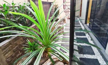 Istimewa Rumah SHM Full Furnished dlm Perumahan dekat Kampus Instiper