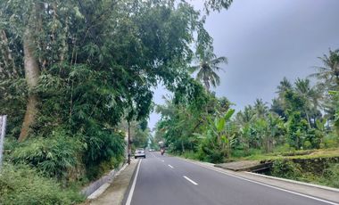 Tanah View Sawah Strategis Area Wisata Utara Kopi Rolas Jln Kaliurang