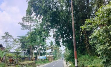 Tanah View Sawah Strategis Area Wisata Utara Kopi Rolas Jln Kaliurang