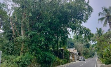 Tanah View Sawah Strategis Area Wisata Utara Kopi Rolas Jln Kaliurang