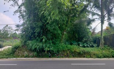 Tanah View Sawah Strategis Area Wisata Utara Kopi Rolas Jln Kaliurang