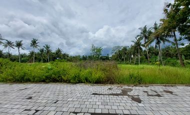 Tanah Jl. Kiyai Ronggo Timur Bandara YIA Jogja