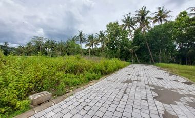 Tanah Jl. Kiyai Ronggo Timur Bandara YIA Jogja