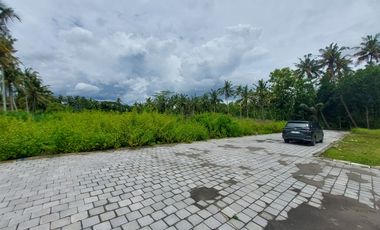 Tanah Jl. Kiyai Ronggo Timur Bandara YIA Jogja