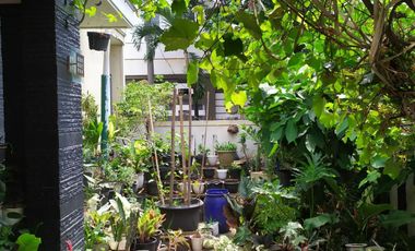 DIJUAL Cepat TerMURAH RUMAH Asri Nyaman Di Batununggal Bandung