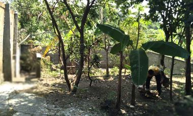 Rumah DiJual Cepat Di Jalan Raya Taman Safari Prigen Pasuruan