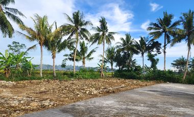 Tanah Dekat Stasiun Wates, Kulon Progo