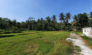 Area Wisata Nanggulan Kulonprogo, DP Kompromi, Bandara Dekat