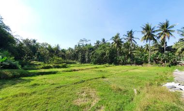 Area Wisata Nanggulan Kulonprogo, DP Kompromi, Bandara Dekat