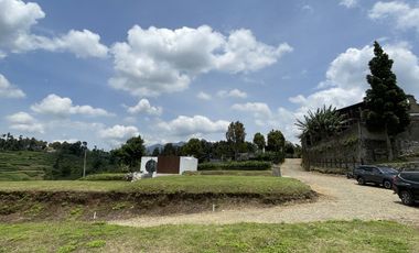 tanah kavling villa istana damar
