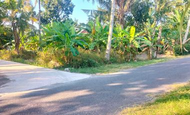 DIJUAL TANAH PEKARANGAN VIEW SAWAH & GUNUNG DEKAT JL SAMAS.JK13302