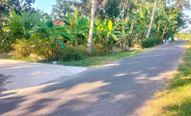 DIJUAL TANAH PEKARANGAN VIEW SAWAH & GUNUNG DEKAT JL SAMAS.JK13302