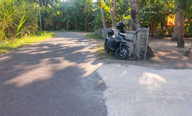 DIJUAL TANAH PEKARANGAN VIEW SAWAH & GUNUNG DEKAT JL SAMAS.JK13302