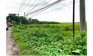 Lahan Tanah 10 Ha Jl Raya Lingkar Utara / Jl Nasional Pemalang