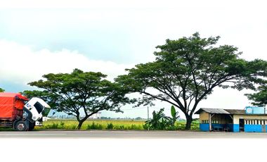 Lahan Tanah 10 Ha Jl Raya Lingkar Utara / Jl Nasional Pemalang