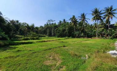Kavling Nanggulan Dekat RSUD Nyi Ageng Serang: SHM