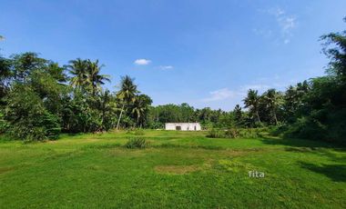 Kavling Nanggulan Dekat RSUD Nyi Ageng Serang: SHM