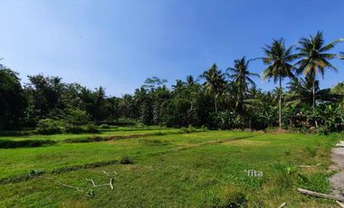 Kavling Nanggulan Dekat RSUD Nyi Ageng Serang: SHM