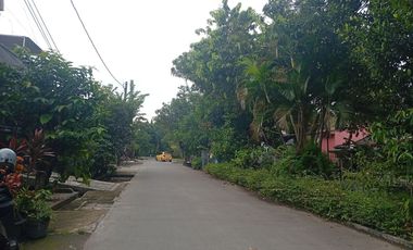 Rumah LT 208 Hadap Timur 15 menit ke Blu Plaza Dibantu KPR J-34329