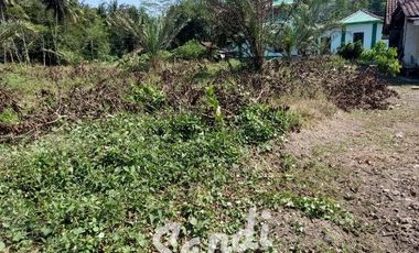 Tanah Strategis Murah Dekat Wisata Pantai Glagah