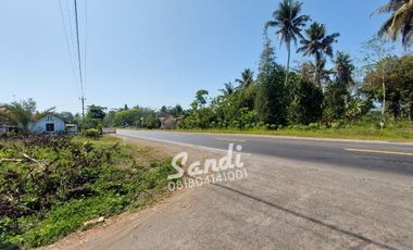 Tanah Strategis Murah Dekat Wisata Pantai Glagah