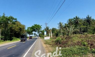 Tanah Strategis Murah Dekat Wisata Pantai Glagah