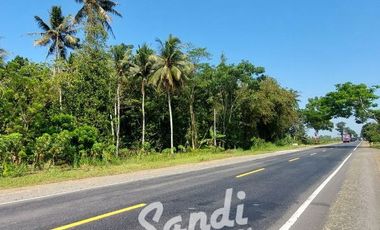 Tanah Strategis Murah Dekat Wisata Pantai Glagah