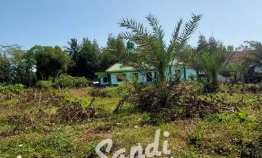 Tanah Strategis Murah Dekat Wisata Pantai Glagah