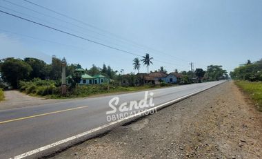 Tanah Strategis Murah Dekat Wisata Pantai Glagah