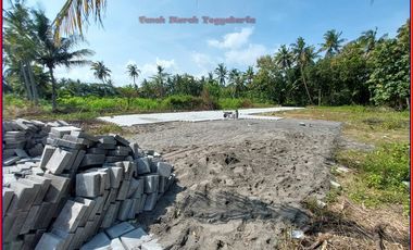 Tanah dekat Bandara YIA Kulonprogo ,SHM P READY