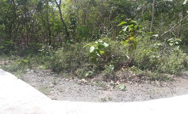 Jual Cepat yanah 3km kota wates lokasi datar padat penduduk