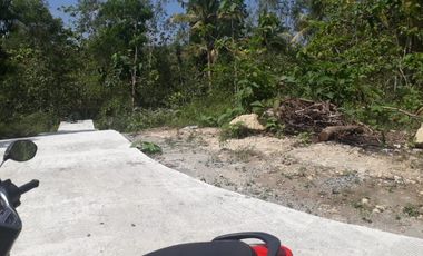 Jual Cepat yanah 3km kota wates lokasi datar padat penduduk