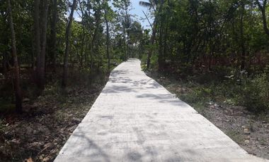 Jual Cepat yanah 3km kota wates lokasi datar padat penduduk