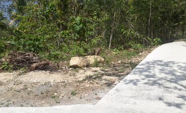 Jual Cepat yanah 3km kota wates lokasi datar padat penduduk