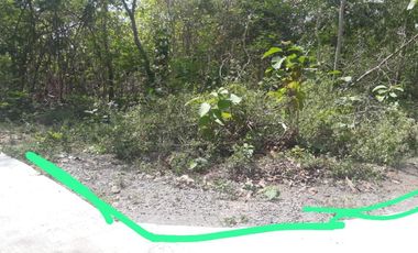 Jual Cepat yanah 3km kota wates lokasi datar padat penduduk