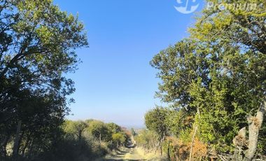 Parcela en Venta en carrizal