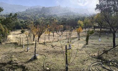 Parcela en Venta en carrizal