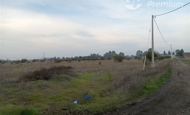 Sitio en Venta en BULNES REGION DE ÑUBLE