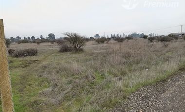 Sitio en Venta en BULNES REGION DE ÑUBLE