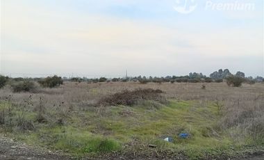 Sitio en Venta en BULNES REGION DE ÑUBLE