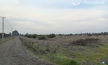 Sitio en Venta en BULNES REGION DE ÑUBLE