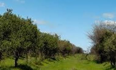 Parcela en Venta en I-214