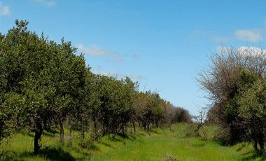 Parcela en Venta en I-214