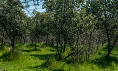 Parcela en Venta en I-214