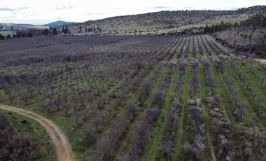 Parcela en Venta en H-20