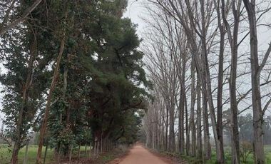 Parcela en Venta en H-20