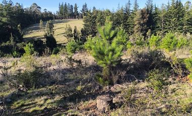 Parcela en Venta en I-180