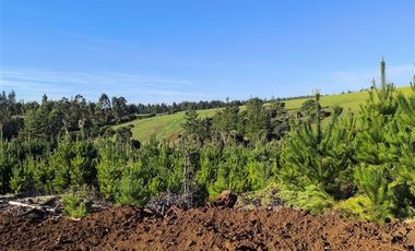 Parcela en Venta en I-180